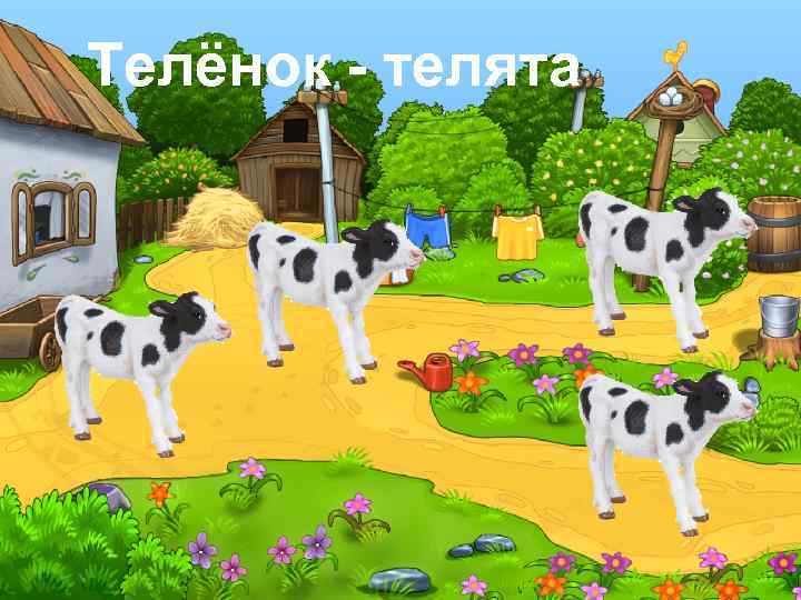 Телёнок - телята 