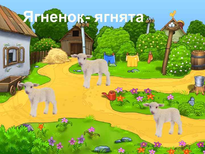 Ягненок- ягнята 