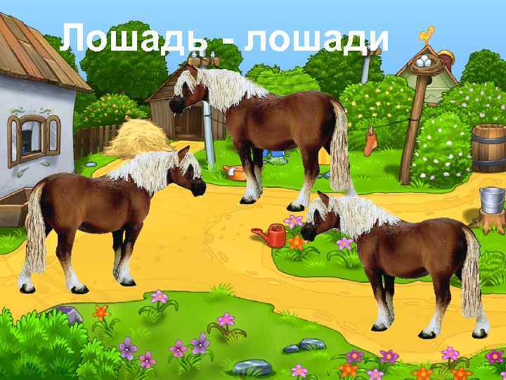 Лошадь - лошади 