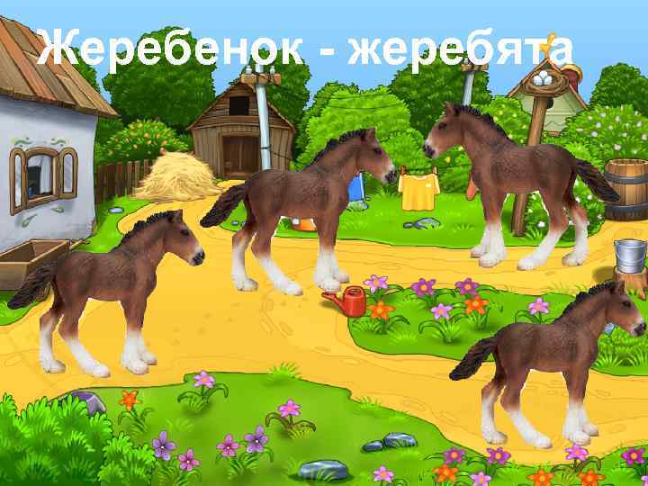 Жеребенок - жеребята 