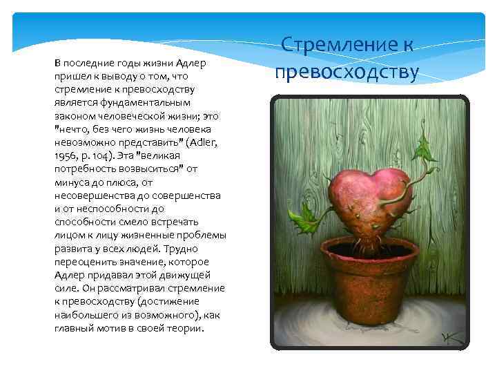 В последние годы жизни Адлер пришел к выводу о том, что стремление к превосходству