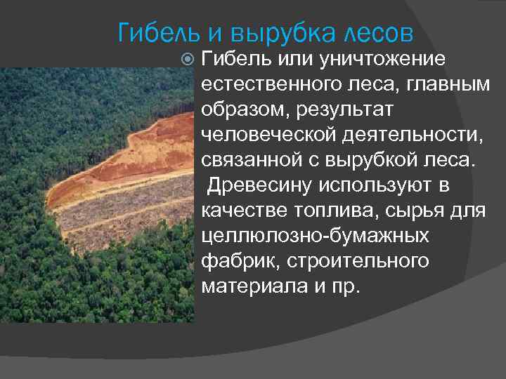 Гибель и вырубка лесов Гибель или уничтожение естественного леса, главным образом, результат человеческой деятельности,