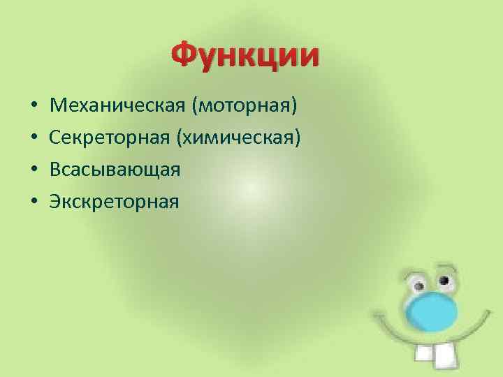 Функции • • Механическая (моторная) Секреторная (химическая) Всасывающая Экскреторная 