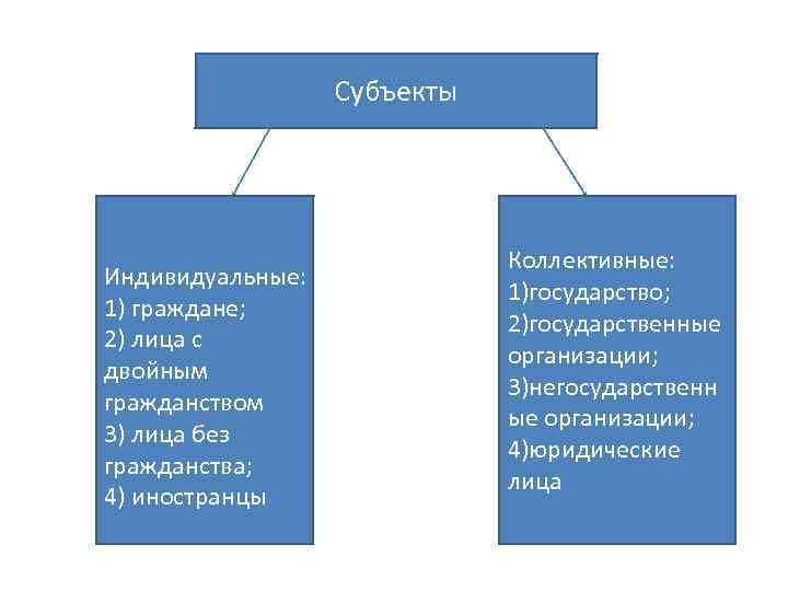 Субъекты Индивидуальные: 1) граждане; 2) лица с двойным гражданством 3) лица без гражданства; 4)