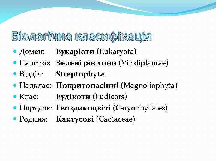 Біологічна класифікація Домен: Царство: Відділ: Надклас: Клас: Порядок: Родина: Еукаріоти (Eukaryota) Зелені рослини (Viridiplantae)