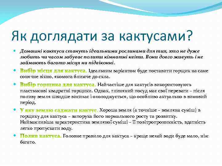 Як доглядати за кактусами? Домашні кактуси стануть ідеальними рослинами для тих, хто не дуже