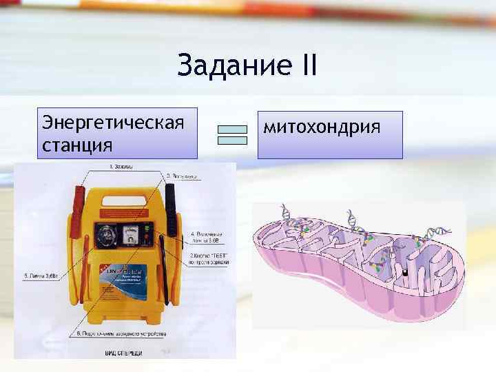 Задание II Энергетическая станция митохондрия 