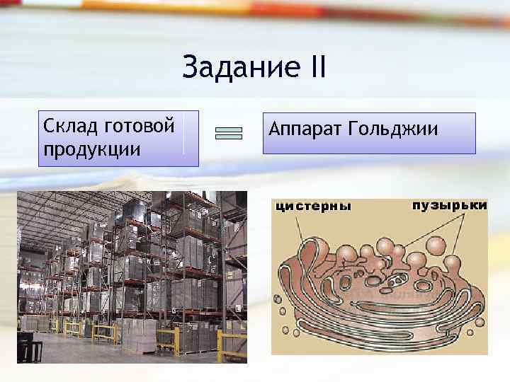 Задание II Склад готовой продукции Аппарат Гольджии 