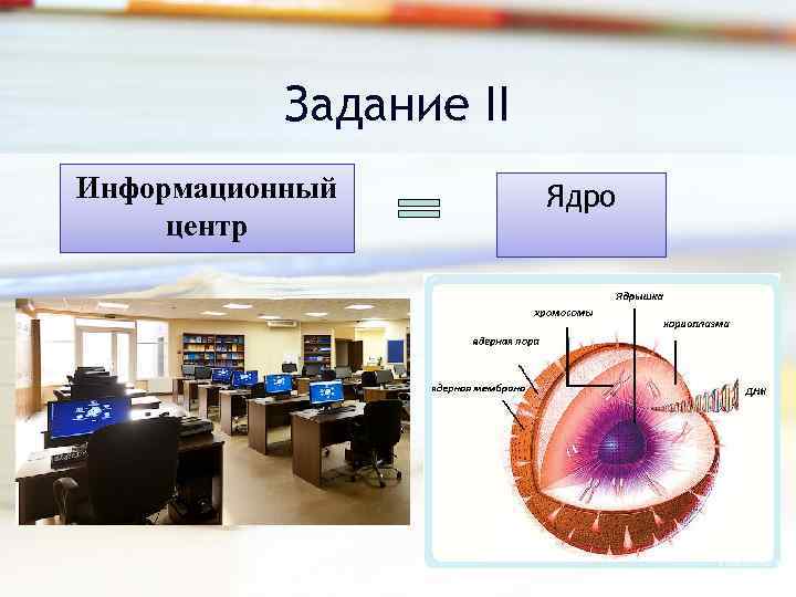 Тест центр к. Клетка ассоциации. Информационный центр в биологии. Информационное ядро. Информационное ядро презентации.