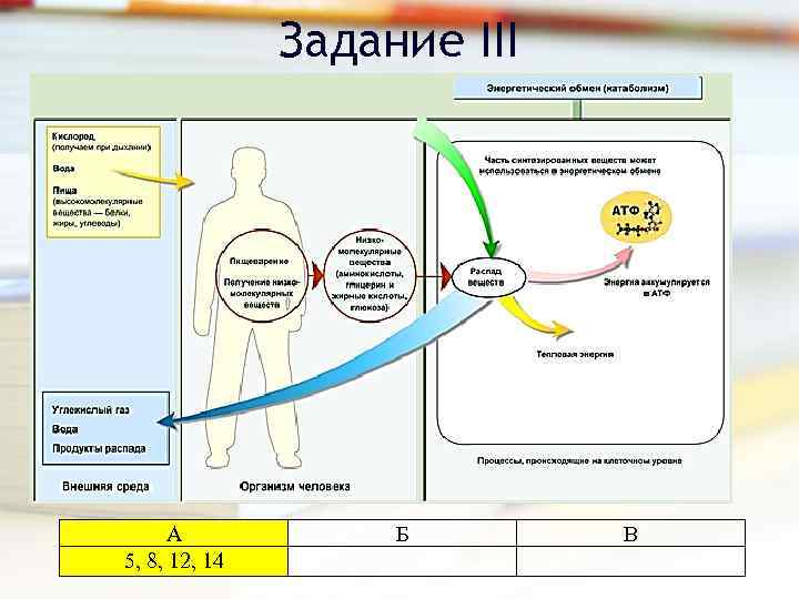 Задание III А 5, 8, 12, 14 Б В 