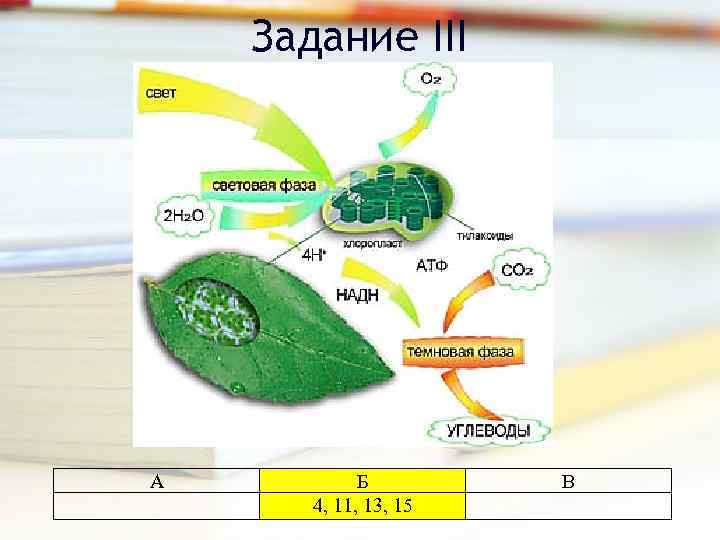 Задание III А Б 4, 11, 13, 15 В 