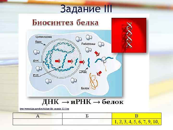 Задание III А Б В 1, 2, 3, 4, 5, 6, 7, 9, 10,