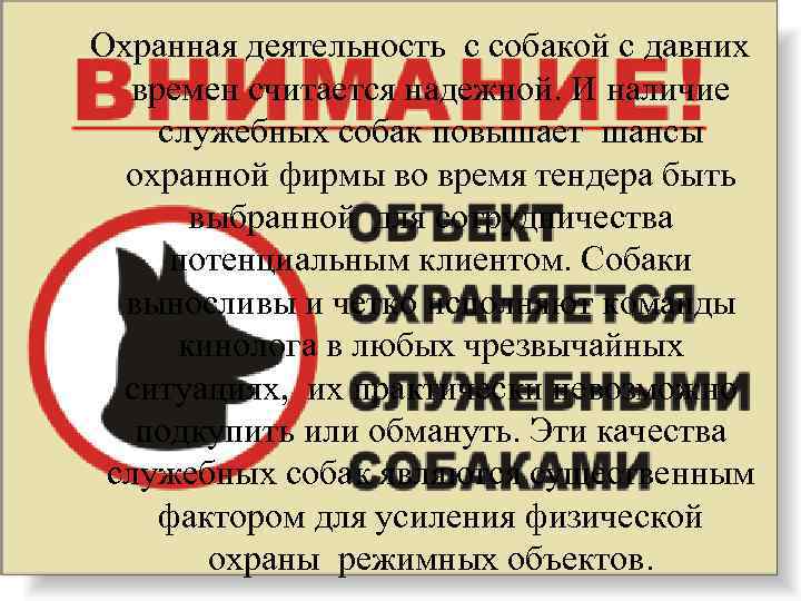  Охранная деятельность с собакой с давних времен считается надежной. И наличие служебных собак