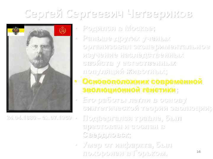 Сергей Сергеевич Четвериков 24. 04. 1880 – 02. 07. 1959 • Родился в Москве;