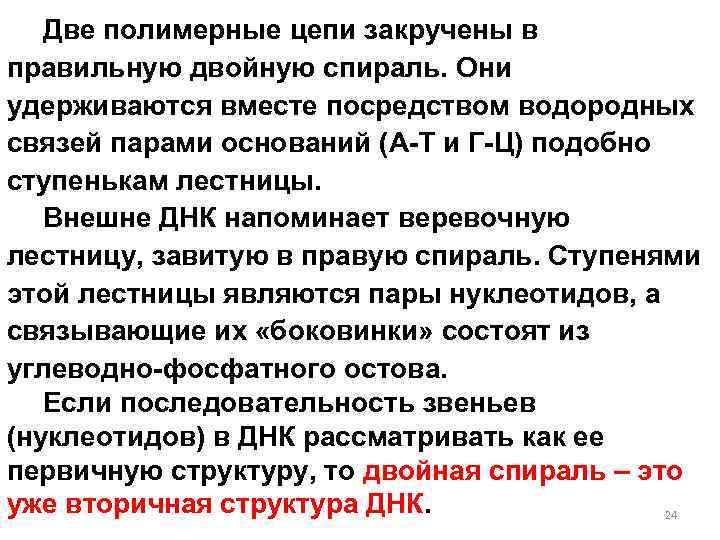 Две полимерные цепи закручены в правильную двойную спираль. Они удерживаются вместе посредством водородных связей