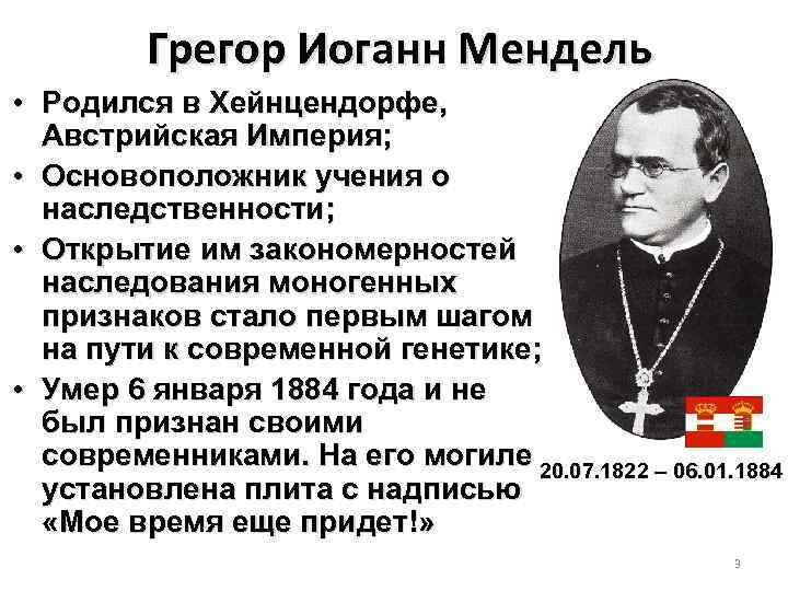 Грегор Иоганн Мендель • Родился в Хейнцендорфе, Австрийская Империя; • Основоположник учения о наследственности;