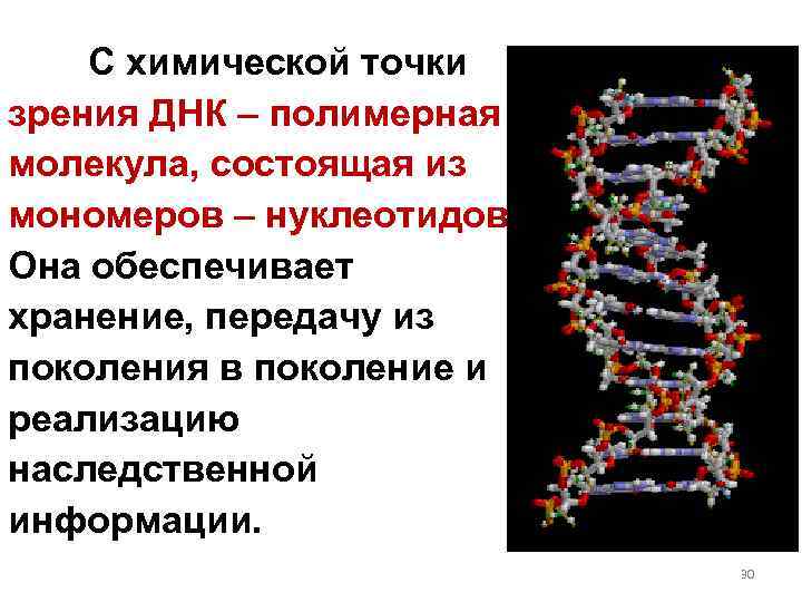 С химической точки зрения ДНК – полимерная молекула, состоящая из мономеров – нуклеотидов. Она