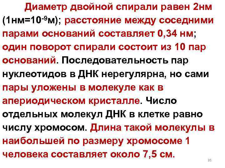 Диаметр двойной спирали равен 2 нм (1 нм=10 -9 м); расстояние между соседними парами