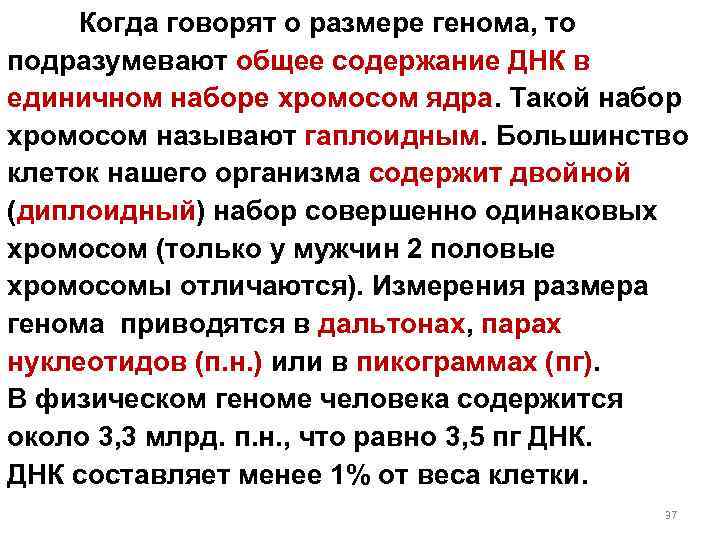 Когда говорят о размере генома, то подразумевают общее содержание ДНК в единичном наборе хромосом