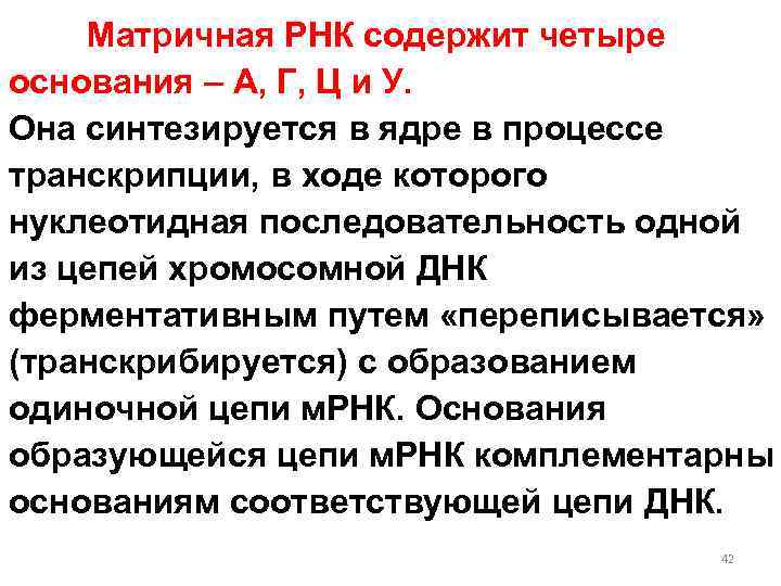 Матричная РНК содержит четыре основания – А, Г, Ц и У. Она синтезируется в