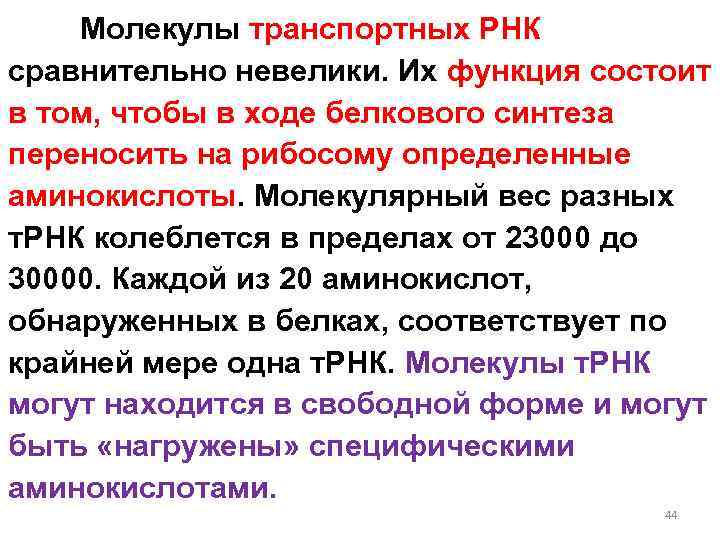 Молекулы транспортных РНК сравнительно невелики. Их функция состоит в том, чтобы в ходе белкового