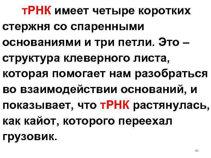  т. РНК имеет четыре коротких стержня со спаренными основаниями и три петли. Это