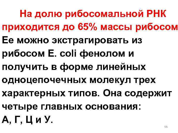 На долю рибосомальной РНК приходится до 65% массы рибосом Ее можно экстрагировать из рибосом