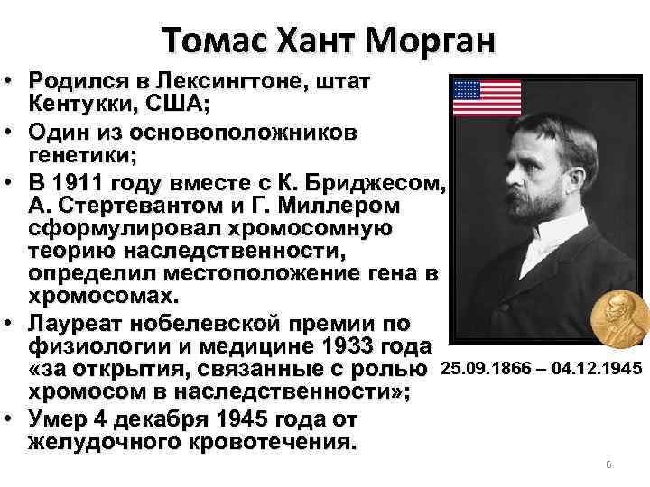 Томас Хант Морган • Родился в Лексингтоне, штат Кентукки, США; • Один из основоположников