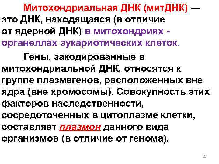 Митохондриальная ДНК (мит. ДНК) — это ДНК, находящаяся (в отличие от ядерной ДНК) в