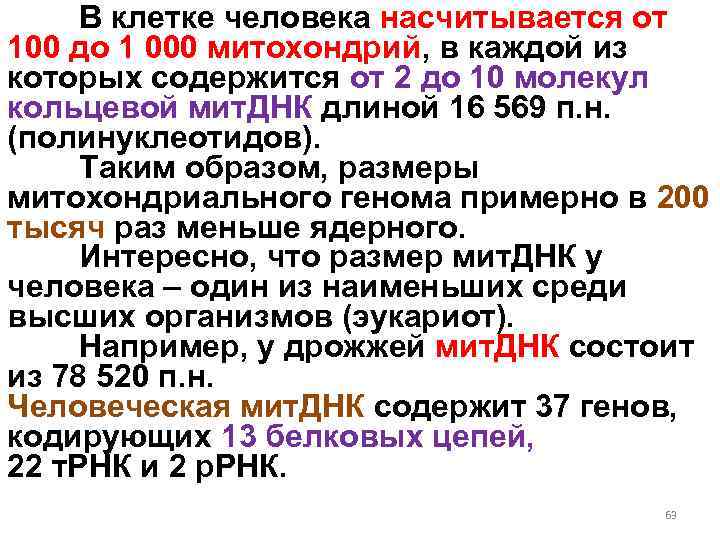 В клетке человека насчитывается от 100 до 1 000 митохондрий, в каждой из которых