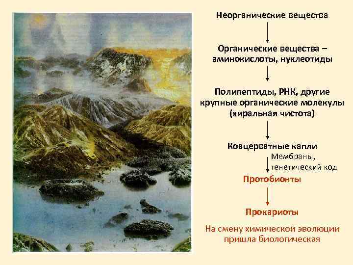 Неорганические вещества Органические вещества – аминокислоты, нуклеотиды Полипептиды, РНК, другие крупные органические молекулы (хиральная