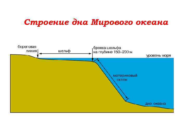 Строение дна Мирового океана 