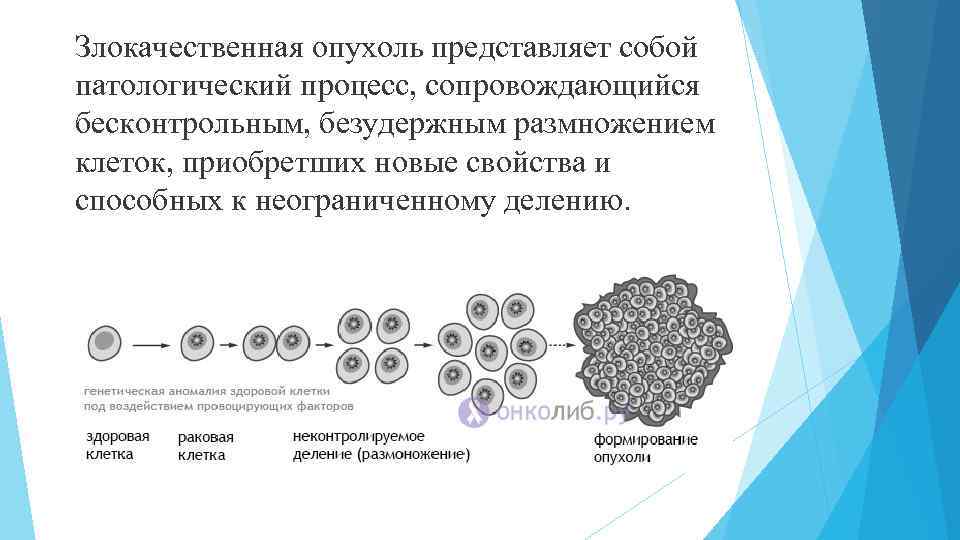 Злокачественная опухоль представляет собой патологический процесс, сопровождающийся бесконтрольным, безудержным размножением клеток, приобретших новые свойства