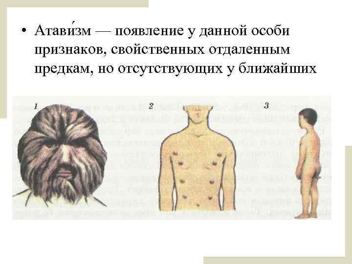  • Атави зм — появление у данной особи признаков, свойственных отдаленным предкам, но