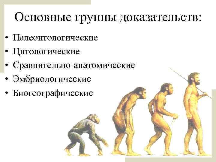 Основные группы доказательств: • • • Палеонтологические Цитологические Сравнительно-анатомические Эмбриологические Биогеографические 