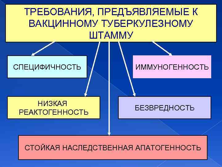 ТРЕБОВАНИЯ, ПРЕДЪЯВЛЯЕМЫЕ К ВАКЦИННОМУ ТУБЕРКУЛЕЗНОМУ ШТАММУ СПЕЦИФИЧНОСТЬ НИЗКАЯ РЕАКТОГЕННОСТЬ ИММУНОГЕННОСТЬ БЕЗВРЕДНОСТЬ СТОЙКАЯ НАСЛЕДСТВЕННАЯ АПАТОГЕННОСТЬ