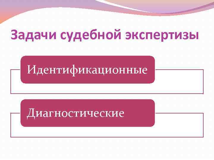 Задачи судебной экспертизы