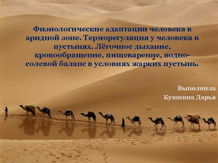 Физиологические адаптации человека в аридной зоне. Терморегуляция у человека в пустынях. Лёгочное дыхание, кровообращение,