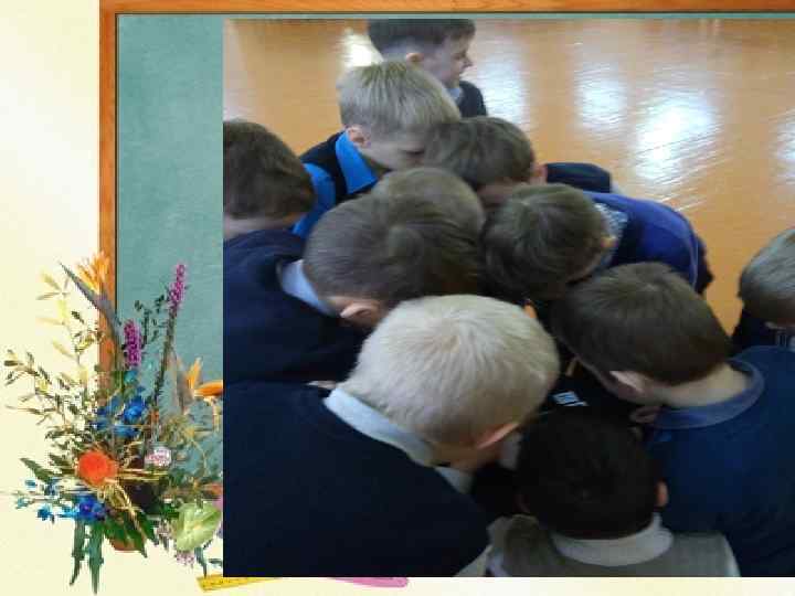 КОНКУРС КОРМУШЕК 