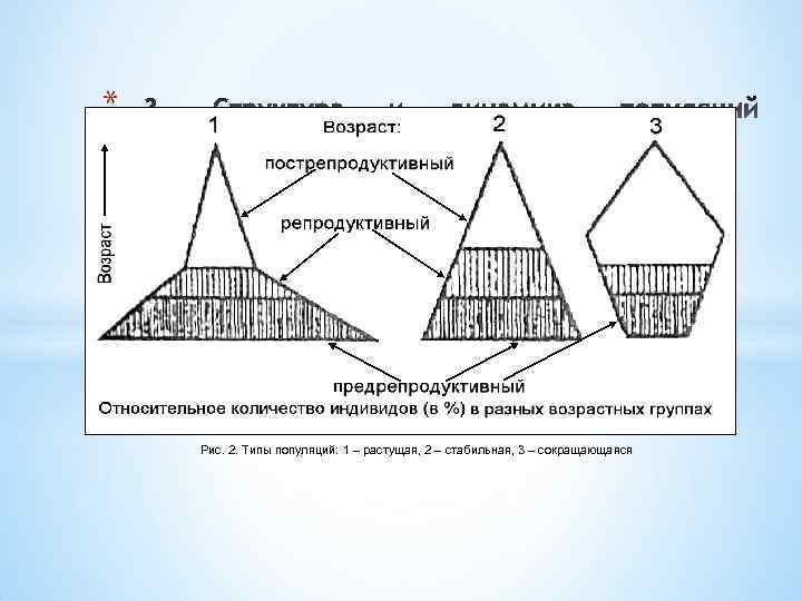 * Рис. 2. Типы популяций: 1 – растущая, 2 – стабильная, 3 – сокращающаяся