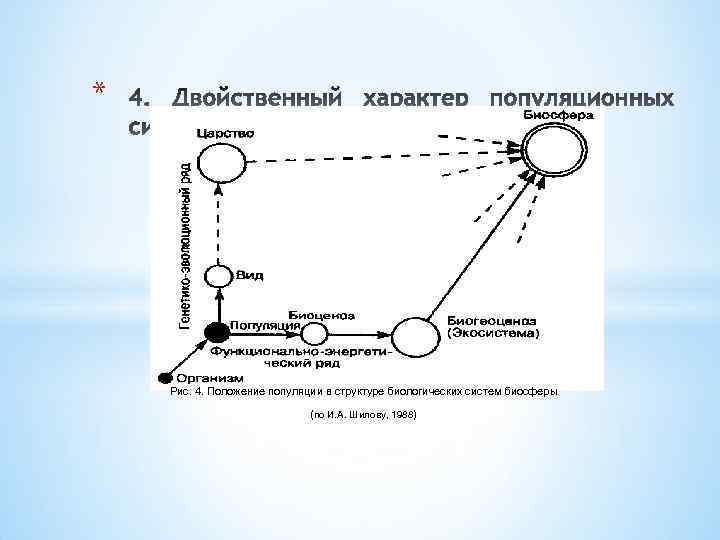 * Рис. 4. Положение популяции в структуре биологических систем биосферы (по И. А. Шилову,