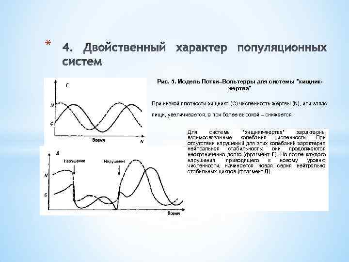 * Рис. 5. Модель Лотки–Вольтерры для системы 