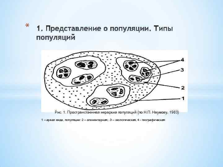 * Рис. 1. Пространственная иерархия популяций (по Н. П. Наумову, 1963) 1 – ареал