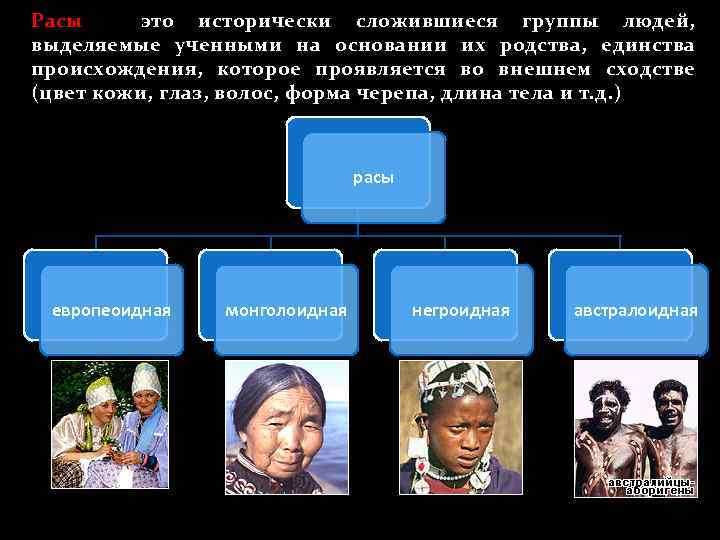 Человеческие расы их родство и происхождение конспект
