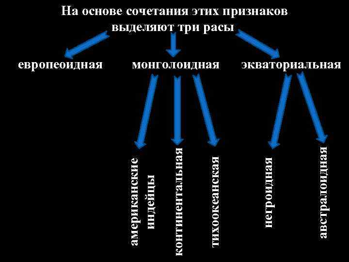 На основе сочетания этих признаков выделяют три расы австралоидная экваториальная негроидная тихоокеанская континентальная монголоидная