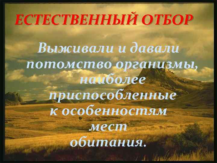 ЕСТЕСТВЕННЫЙ ОТБОР Выживали и давали потомство организмы, наиболее приспособленные к особенностям мест обитания. 