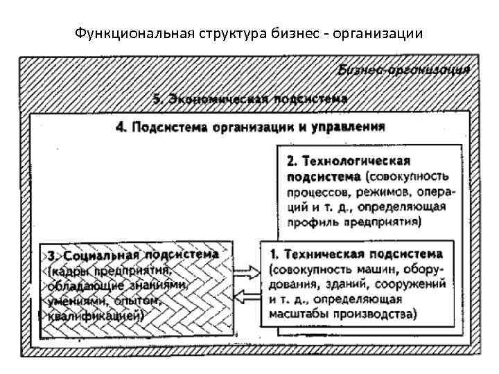 Функциональная структура бизнес - организации 