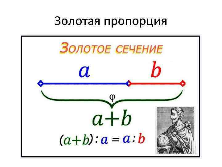 Золотая пропорция проект по математике 10 класс