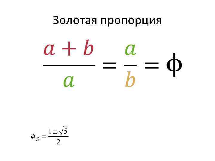 Золотая пропорция 