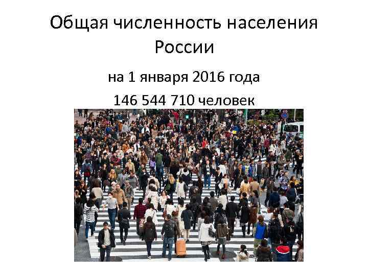 Общая численность населения России на 1 января 2016 года 146 544 710 человек 
